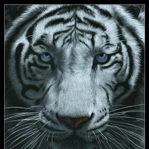 Sherr2222's profile picture. 