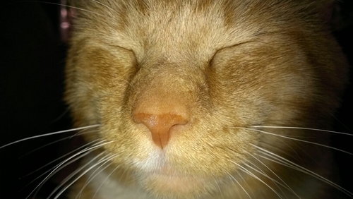 TimEutin's profile picture. 