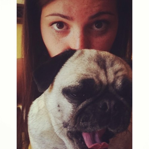 pug life.