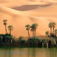 سبحان الله وبحمده (@aaasaa3322) 's Twitter Profile