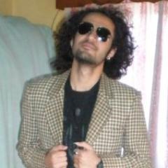 software developer/web developer