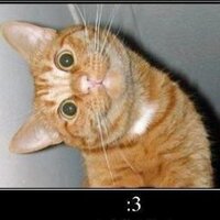 José Raúl (@zeraul10) 's Twitter Profile