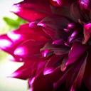 Jolene Ayala - @JoJo8791 - Twitter