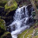 Meghan Gamble - @meggielou1 - Twitter