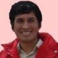 Consultor Marketing en red, Inclusion Social Digital, gobierno Electronico y Estadistica