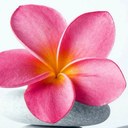 sandra collado - @sandrou07 - Twitter