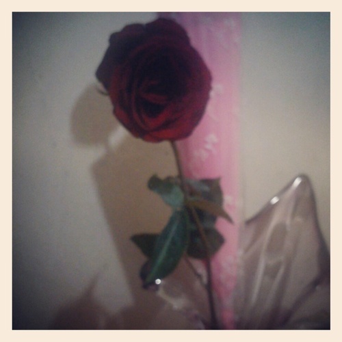 ayamendez18's profile picture. #Charice love eternally:-)