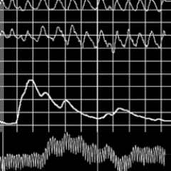 polygraphtimes's profile picture. Polygraph News, Technology, Community