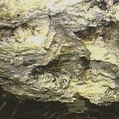 I am THE ONE AND ONLY LONDON FATBERG, the world's first sentient accretion of cooking fat, wet wipes and miscellaneous drain-borne jetsam.