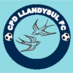CPD Llandysul FC (@cpdllandysulfc) Twitter profile photo CPD Llandysul FC (@cpdllandysulfc) Twitter profile photo
