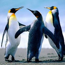 YourReviews02's profile picture. What put her off her Lunch? http://t.co/O97yX1kJrV