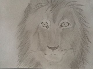 Flosse81's profile picture. 