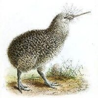 Rory Braybrook (@rbrayb) 's Twitter Profile