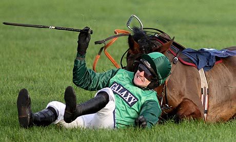 I know a few things, love a good punt, follow me for tips on horse racing, footy, in play..