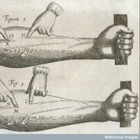 The Blood Project (@bloodproject) 's Twitter Profile