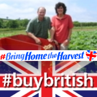 HallwoodFarm's profile picture. Family farm growing 20 acres of veg for our box scheme and home/Pubs deliveries, Our own meat, Ruby Beef,  GOS X Tamworth Pork.