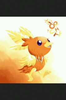 Soy un Torchic macho, Pero me llamo Flame