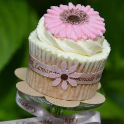 Stunning ranges of Cupcake/Bakery packaging