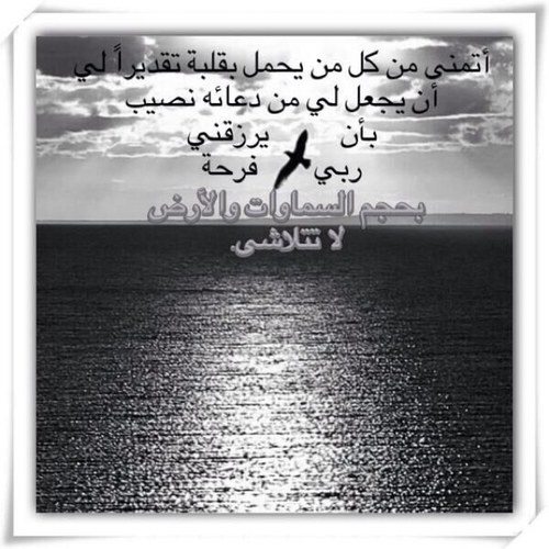 بعثرة أنثى تسكن الخيال.