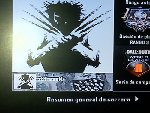 Call Of Duty Player, From Argentina, AR slayer, 14 Years.
