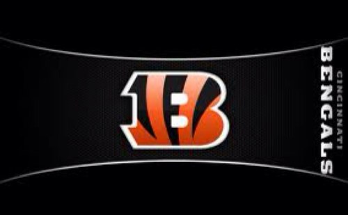 #bengalsfan #redsfan #discgolfer