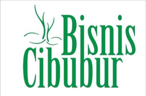 Optimasi Bisnis Anda bersama Bisnis Cibubur, Your Partner in Your Business Solution, SMS 0811 8770 293