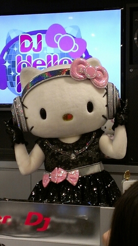 キティーちゃんだけど。デキマスヤリマスガンバリマス！山を愛してます。山も私を愛してください！！