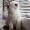 Lynn Press - @lpteach1 - Twitter