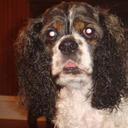 Stuart Beebe - @stubeebe - Twitter