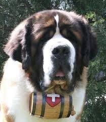 biffo_wonderdog Profile Picture