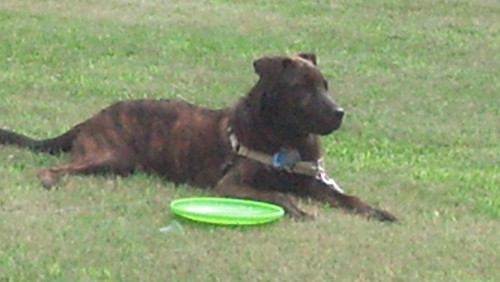 24hoss's profile picture. 