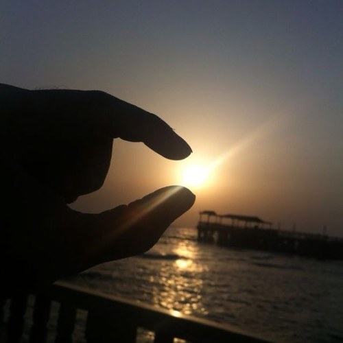 a_algossi's profile picture. - جامعه القصيم K.S.A AL Qassim