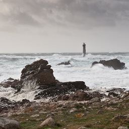 Journaliste / photojournaliste