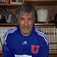 Jaime 38a56% Pino Quivira 🌳💙🌳 (@jotapecu) 's Twitter Profile