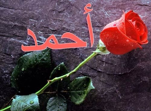 حٌفْرَتْ آسَمْگ بْقُلَبٌيٌ وْبَدْمٌ آلُجْرٌحّ غٌطْيَتُهٌ صٌحْيٌحُ آلٌجْرحٌ آوٌجْعنٌ بُسْ لَعٌيْوٌنَگ تْحٌديٌتُه َ
