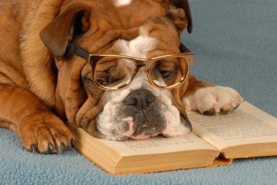 @CHSLibrary1