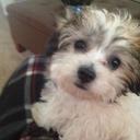 john mueller - @MrLouie16 - Twitter