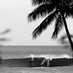surfs stuf (@surfsstuf) Twitter profile photo surfs stuf (@surfsstuf) Twitter profile photo
