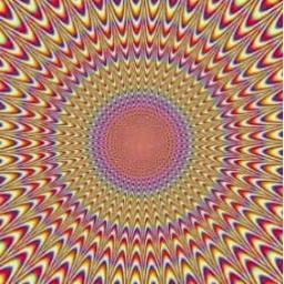 pikirkanDOSA's profile picture. 