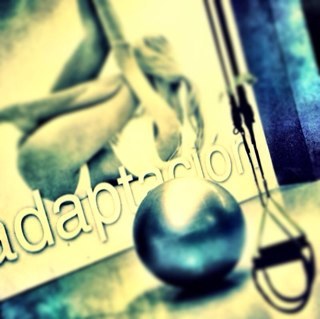 alcudiasport's profile picture. centro deportivo Alcudia-Mallorca