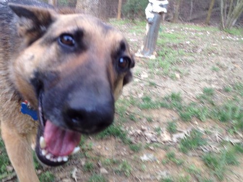 ChuckGrs's profile picture. 