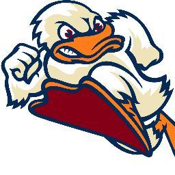 Official Twitter of the Stevens Ducks Men's and Women's Swim team #AllRise #DucksFlyTogether #Quack @StevensDucks @FollowStevens