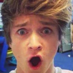 i just really like the vamps