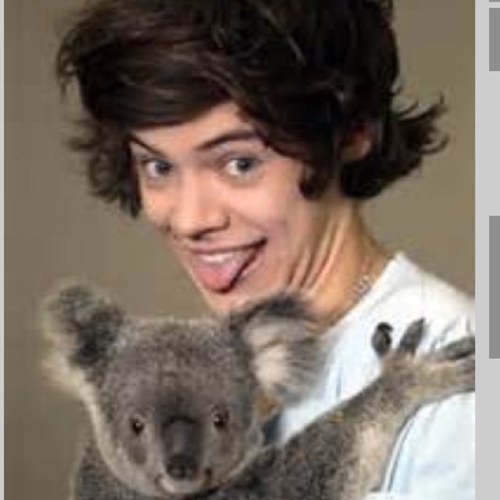 i luv 1D 4ever im a crazy mofo