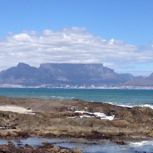 elliottsylvest2's profile picture. i❤️cape town|journalist|Capetalk producer|aspiring surfer|ink rules