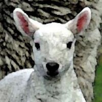 Mary Smith (@wonderingewe) Twitter profile photo