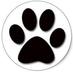 VetInformatics (@vetinformatics) Twitter profile photo