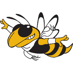 Yellow Jacket Flying Profile