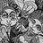jviana66's profile image