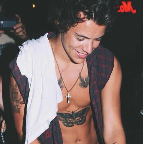 harry if ur reading this please follow @ericatrishaa :)